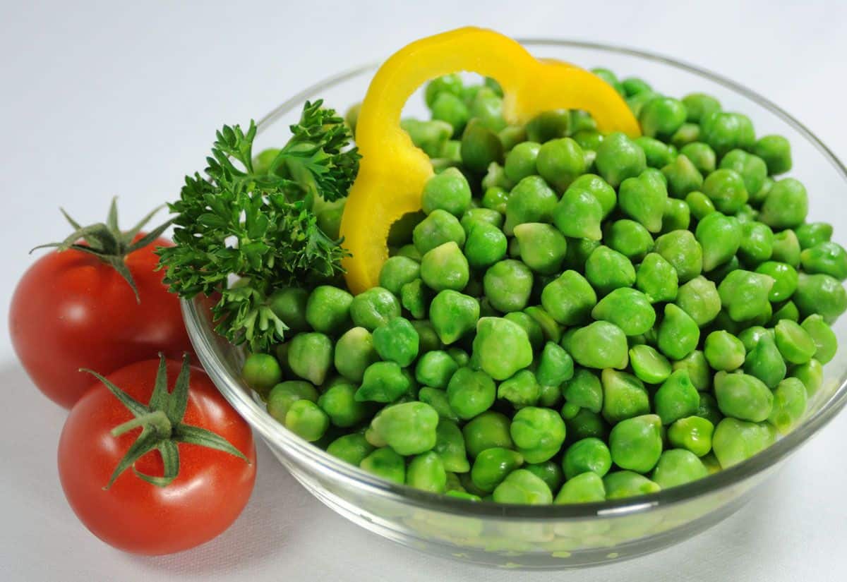Green Garbanzo Beans