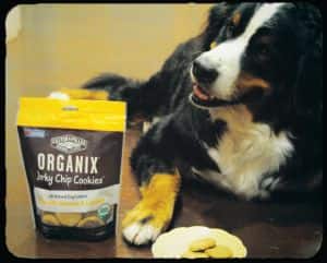 ORGANIX JerkyChipCookiePup_InstagramEdit_b