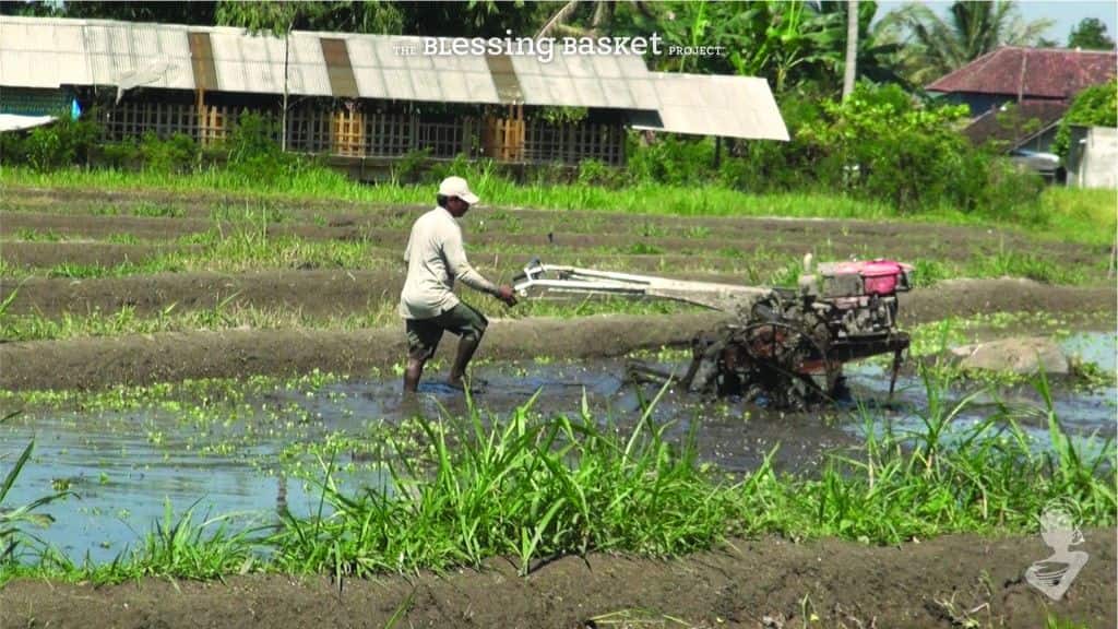 manwithtractor