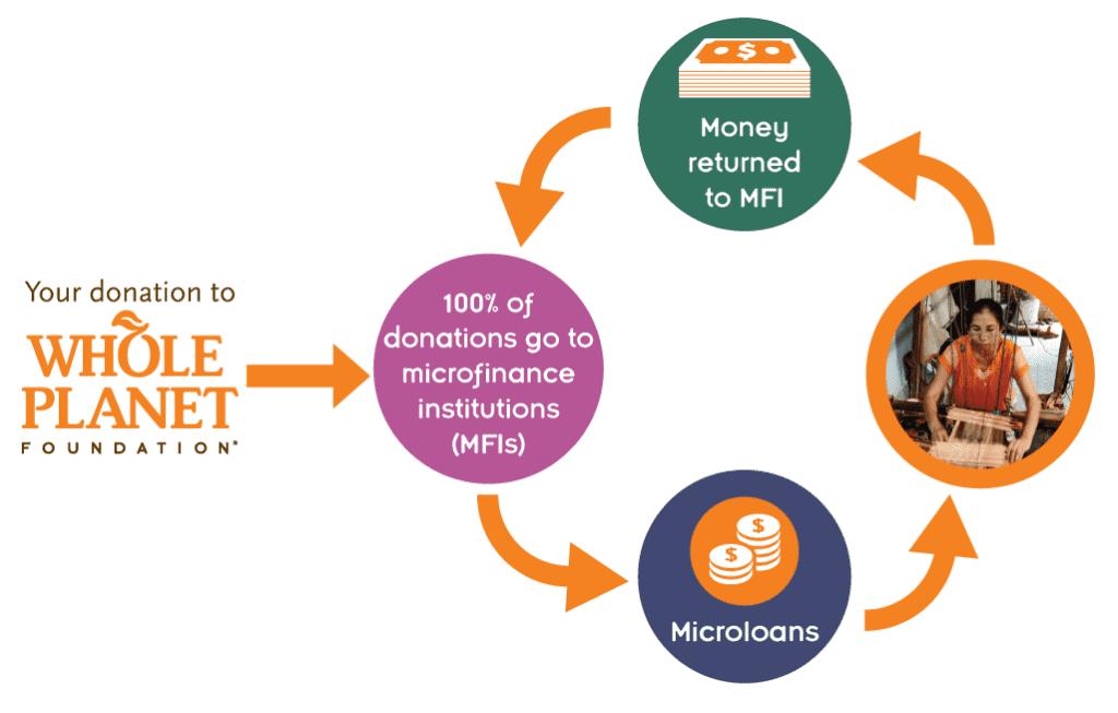 how microcredit works