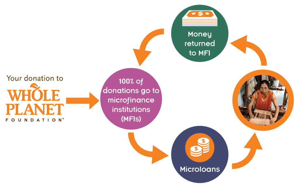 diagram of whole planet foundation impact