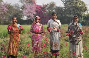 Organic_India_Farmers