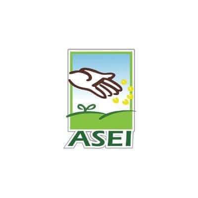 asei logo