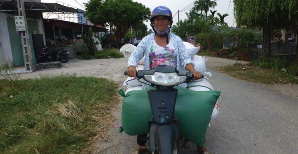 loan vietnamese microcredit client