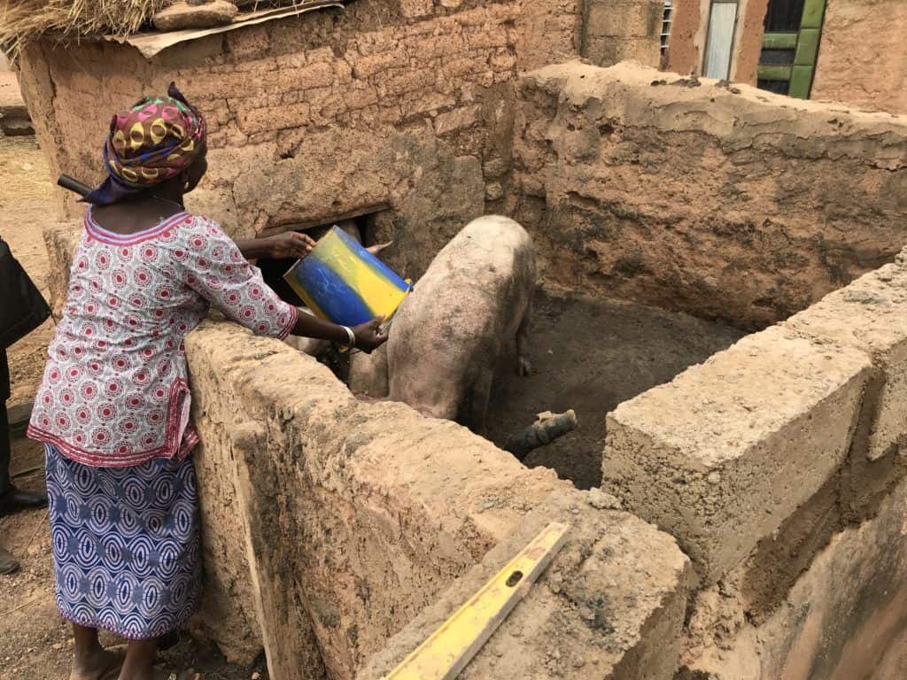 Madeline Livestock Business microcredit client livestock Burkina Faso