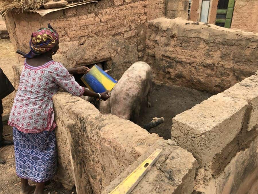 Microcredit Client Madeline with her pigs