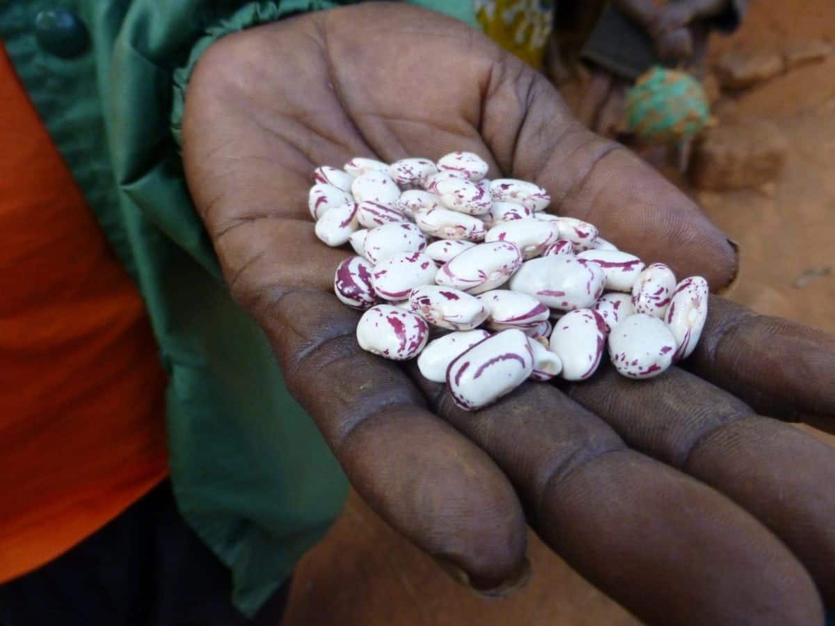 Burundi client with beans