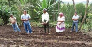 honduras farmers