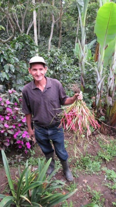 honduras farmer