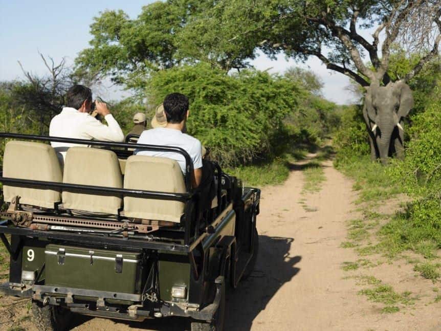 photographer on safari with elephant