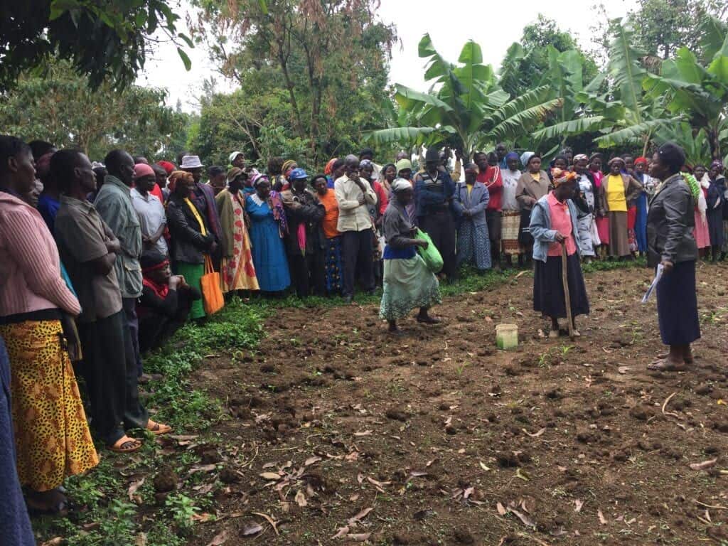 farmers in kenya one acre fund