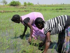 two women farmers in their field