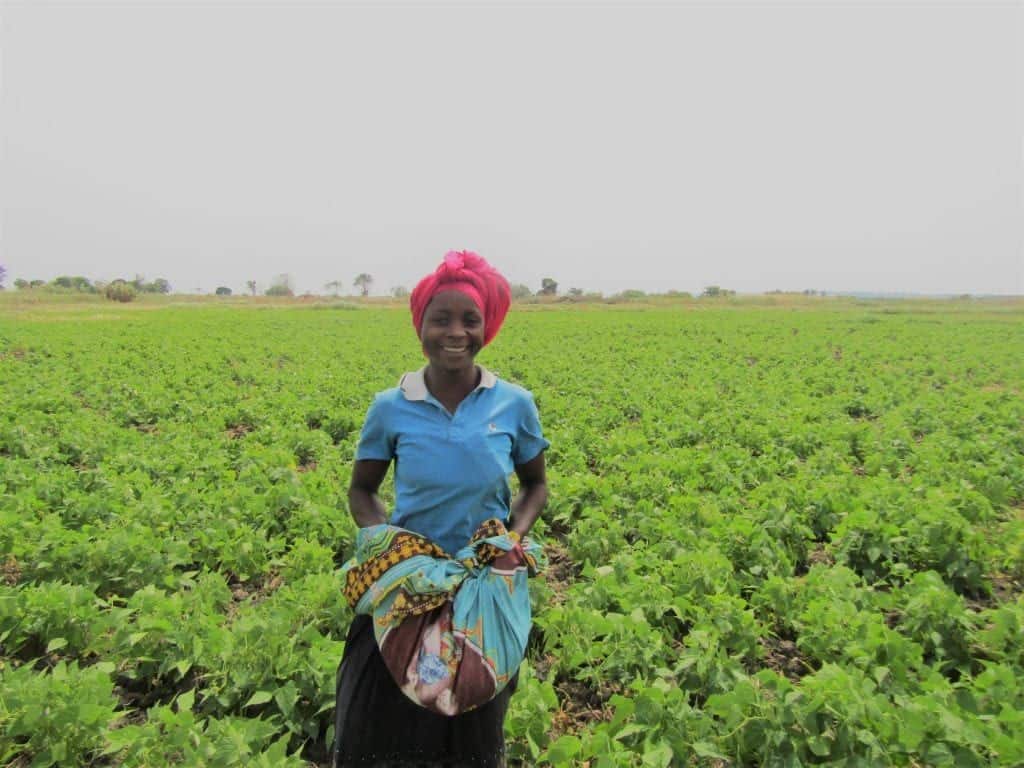 a woman standing in her field in malawi
