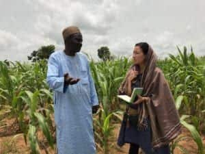 a woman and a man in a field of corn