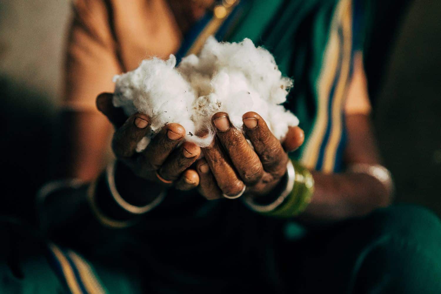 hands holding a ball of organic cotton